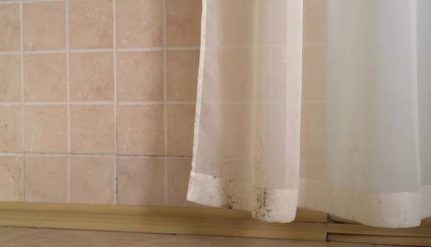 Trusted Keokea, HI Mold Removal Experts