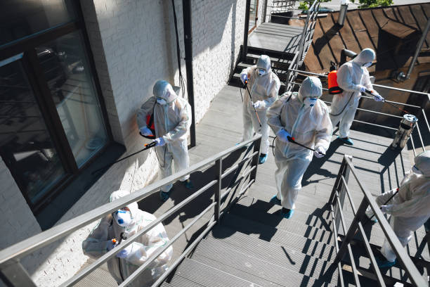 Mold Removal for HVAC Installations in Keokea, HI