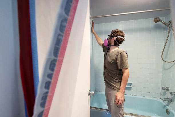 Best Dehumidification Services  in Keokea, HI