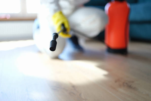 Best Indoor Air Quality Assessment  in Keokea, HI