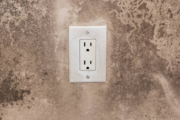 Best Mold Prevention Services  in Keokea, HI